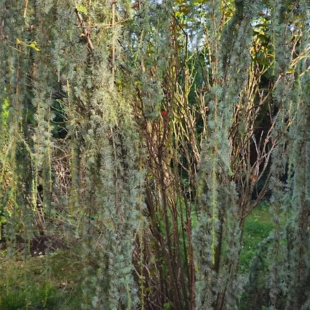 Bright Charming House With A Garten Balkony, Panoramic View And Full Equiped Kitchen