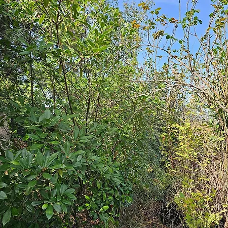 Bright Charming House With A Garten Balkony, Panoramic View And Full Equiped Kitchen *